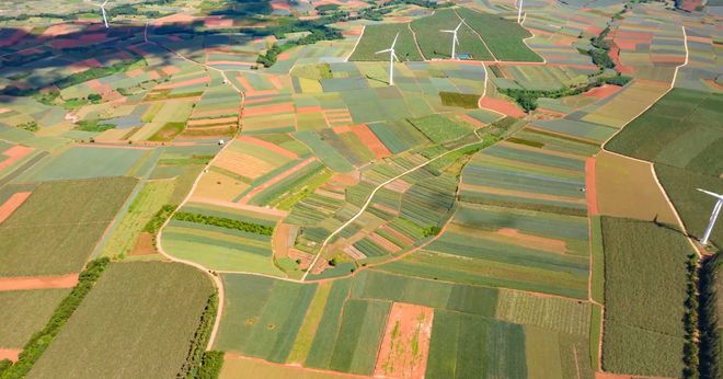 从“甜蜜烦恼”到“菠